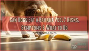 can dogs eat a banana peel can dogs eat a banana peel