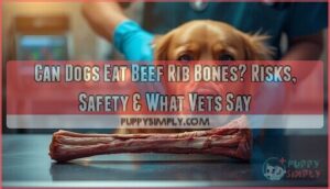 can dogs eat beef rib bones can dogs eat beef rib bones