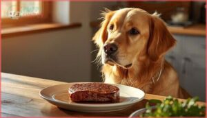can dogs eat beef safely can dogs eat beef safely