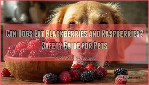 Snapshot of Can Dogs Eat Blackberries And Raspberries Safety Guide For Pets