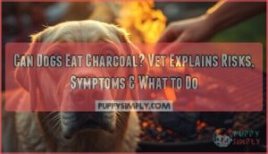 can dogs eat charcoal can dogs eat charcoal