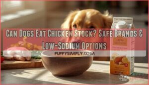 can dogs eat chicken stock can dogs eat chicken stock