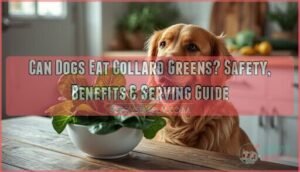 can dogs eat collard greens can dogs eat collard greens