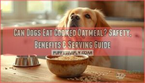 can dogs eat oatmeal cooked can dogs eat oatmeal cooked