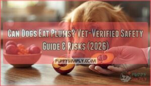 can dogs eat plum can dogs eat plum