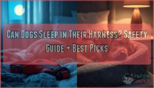 can dogs sleep in their harness
