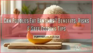 can poodles eat bananas can poodles eat bananas