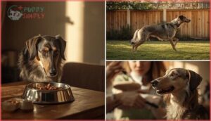 care and requirements care and requirements