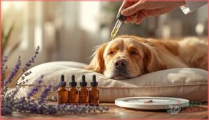 cbd dosage guidelines for calming dogs cbd dosage guidelines for calming dogs