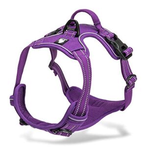 Chai's Choice Dog Harness Vest B075M124ZN