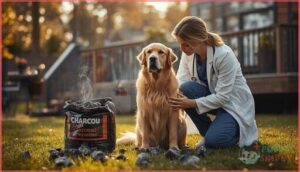 common myths about dogs and charcoal common myths about dogs and charcoal