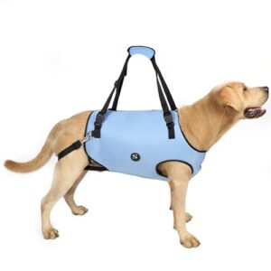 Coodeo Dog Lift Harness, Pet B07K6Q3MTC
