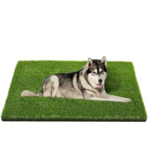 CooZero Artificial Grass, Professional Dog B08B5RZKH5