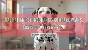 dalmatian pet insurance dalmatian pet insurance