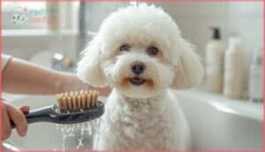 dander production in bichon frises dander production in bichon frises