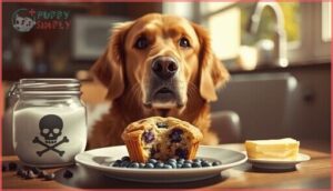 dangerous ingredients in blueberry muffins for dogs dangerous ingredients in blueberry muffins for dogs