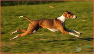 distinctive body structure distinctive body structure