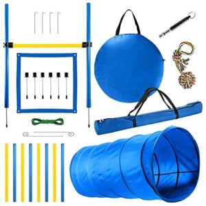 Dog Agility Training Equipment, 28 B07MTNT9JW