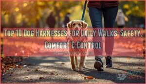dog harnesses for daily walks dog harnesses for daily walks