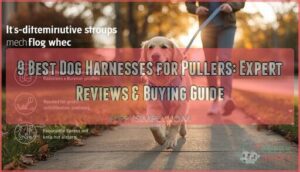 dog harnesses for pullers