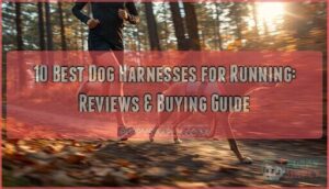 dog harnesses for running