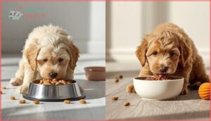 dry vs. wet dog food options dry vs. wet dog food options