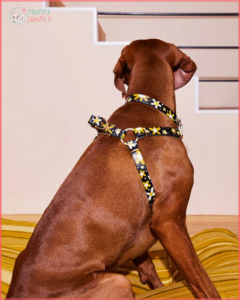 durable materials and reinforced stitching durable materials and reinforced stitching