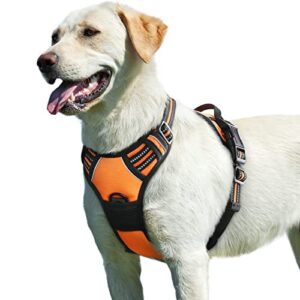 Eagloo Dog Harness for Large B075GG99Z8