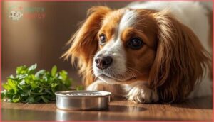 effects on coat and skin effects on coat and skin