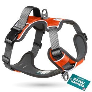 Embark Adventure Dog Harness, Reflective B071Z3445F