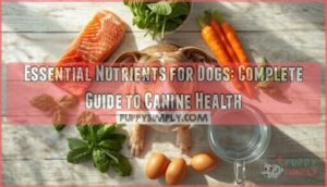 essential nutrients for dogs essential nutrients for dogs