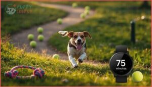 exercise and activity needs exercise and activity needs