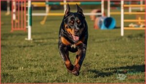 exercise and activity requirements exercise and activity requirements