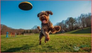 exercise needs exercise needs