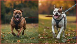 front-clip vs. back-clip designs front-clip vs. back-clip designs