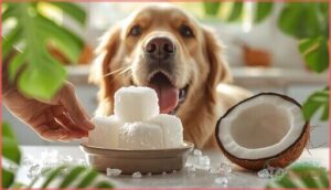 frozen coconut snacks frozen coconut snacks