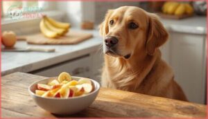 fruit-based snacks (apples, bananas) fruit-based snacks (apples, bananas)