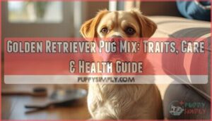 golden retriever pug mix golden retriever pug mix