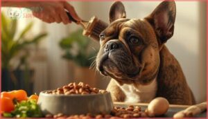 grooming and care for sable frenchies grooming and care for sable frenchies