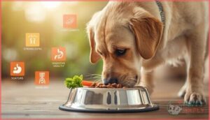 health concerns influenced by diet health concerns influenced by diet