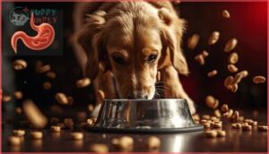health risks of fast eating in dogs health risks of fast eating in dogs