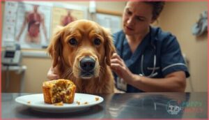 health risks of feeding blueberry muffins to dogs health risks of feeding blueberry muffins to dogs