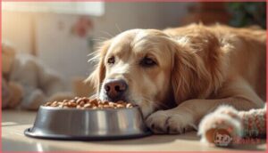 how aging changes dog nutrition needs how aging changes dog nutrition needs