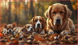 how many acorns are dangerous for dogs how many acorns are dangerous for dogs