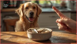 how much oyster can dogs safely eat how much oyster can dogs safely eat