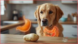 how raw potato affects dog health how raw potato affects dog health