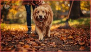 how to prevent dogs from eating acorns how to prevent dogs from eating acorns