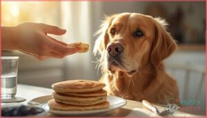 how to safely offer pancakes to dogs how to safely offer pancakes to dogs