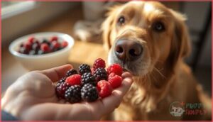 introducing berries to your dog’s diet introducing berries to your dog’s diet
