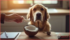 introducing coconut to your dog’s diet introducing coconut to your dog’s diet